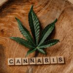 medical marijuana in ohio