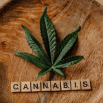 Cannabis Products 101: Tinctures vs. Edibles vs. Concentrates